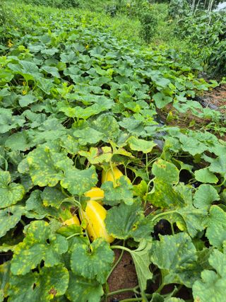 송하영님의 자유주제 · 사진전 작성글 사진