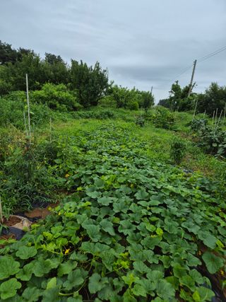 송하영님의 자유주제 · 사진전 작성글 사진