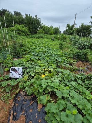 송하영님의 자유주제 · 사진전 작성글 사진