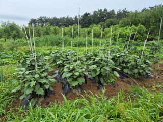 송하영님의 자유주제 · 사진전 작성글 사진