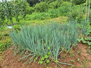 송하영님의 자유주제 · 사진전 작성글 사진