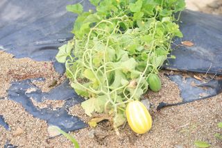 알 수 없음님의 자유주제 · 사진전 작성글 사진