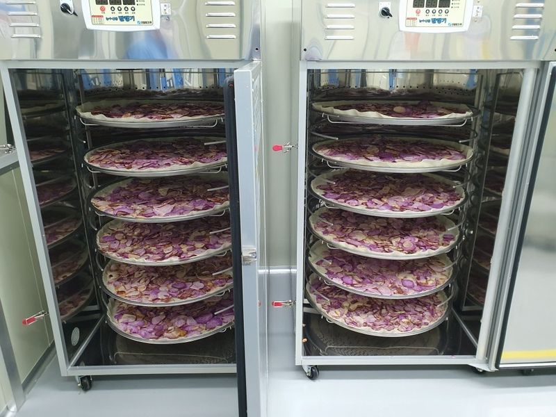 김선순(공룡자색마)님의 장터 판매 상품 [공룡자색분말가루 200g] 첨부 사진