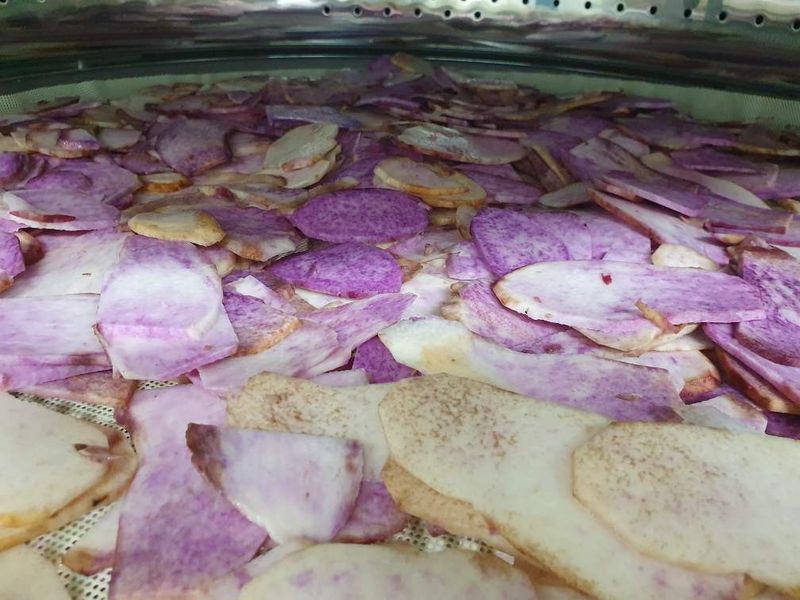 김선순(공룡자색마)님의 장터 판매 상품 [공룡자색분말가루 200g] 첨부 사진