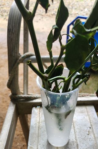 하은와송~♡♡♡~님의 자유주제 · 자유게시판 작성글 사진