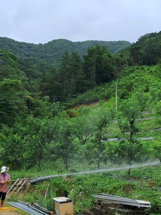 알 수 없음님의 사과 · 영농일지 작성글 사진