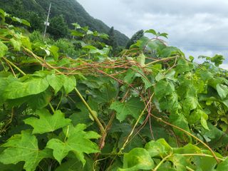 김희철님의 자유주제 · 자유게시판 작성글 사진