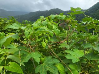 김희철님의 자유주제 · 자유게시판 작성글 사진
