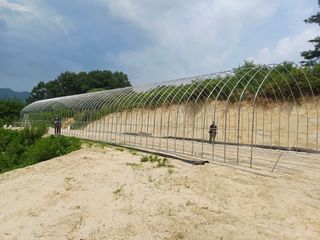 채기섭님의 자유주제 · 자유게시판 작성글 사진