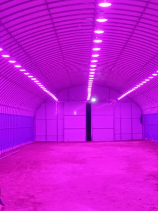 채기섭님의 자유주제 · 자유게시판 작성글 사진