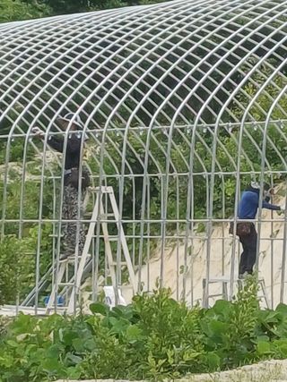 채기섭님의 자유주제 · 자유게시판 작성글 사진