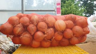 농부아내님의 작성글 사진