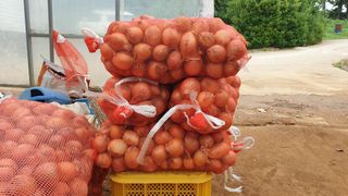 농부아내님의 작성글 사진