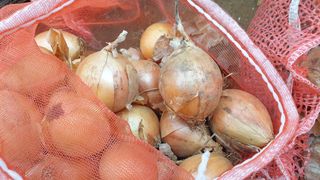 농부아내님의 작성글 사진