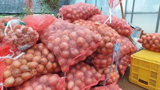 농부아내님의 작성글 사진