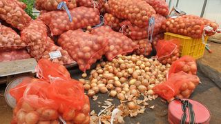 농부아내님의 작성글 사진