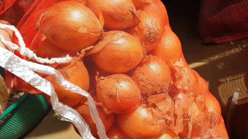 농부아내님의 장터 판매 상품 [동글동글 꼬맹이 요정양파 5kg] 첨부 사진