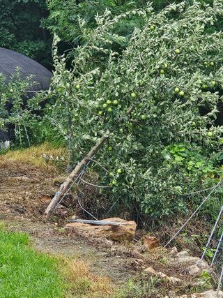 손기홍님의 자유주제 · 자유게시판 작성글 사진