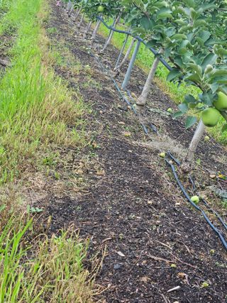 손기홍님의 자유주제 · 자유게시판 작성글 사진