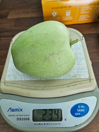 손기홍님의 자유주제 · 자유게시판 작성글 사진