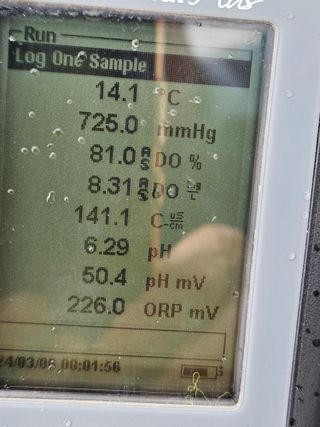 손기홍님의 자유주제 · 자유게시판 작성글 사진