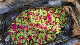 (힐링따오기쉼터)님의 자유주제 · 자유게시판 작성글 사진