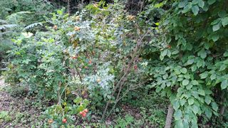 (힐링따오기쉼터)님의 자유주제 · 자유게시판 작성글 사진