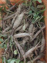 팜모닝 자유주제·자유게시판 게시글 이미지