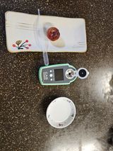 팜모닝 🌧️7월 내 작물 자랑하기·참여글 게시글 이미지