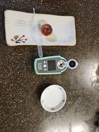 자두농사알프스왕자님의 🌧️7월 내 작물 자랑하기 · 참여글 작성글 사진