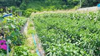 이승명님의 자유주제 · 사진전 작성글 사진