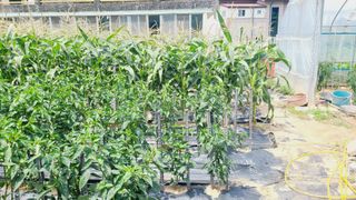 이승명님의 자유주제 · 사진전 작성글 사진