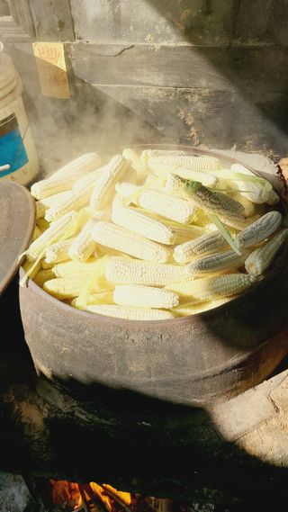 이승명님의 자유주제 · 사진전 작성글 사진