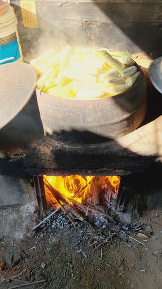 이승명님의 자유주제 · 사진전 작성글 사진