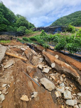 송영걸님의 자유주제 · 자유게시판 작성글 사진