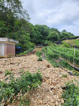 송영걸님의 자유주제 · 자유게시판 작성글 사진