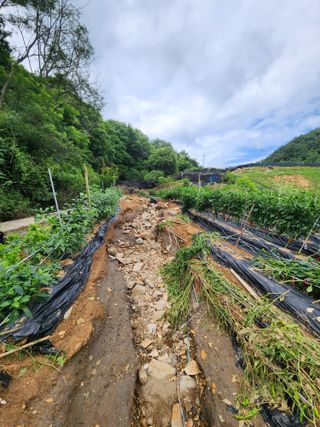 송영걸님의 자유주제 · 자유게시판 작성글 사진