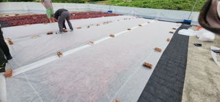 고추농사 정 미라님의 자유주제 · 자유게시판 작성글 사진