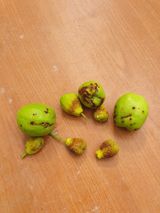 팜모닝 자유주제·자유게시판 게시글 이미지