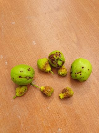 하양복숭님의 자유주제 · 자유게시판 작성글 사진