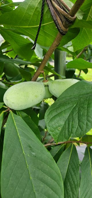 포포나무학교한치원님의 자유주제 · 자유게시판 작성글 사진