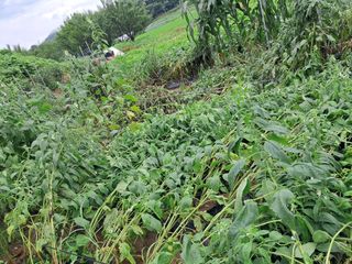 노재영님의 자유주제 · 사진전 작성글 사진