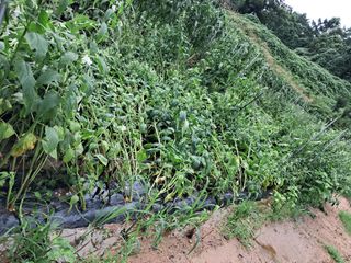 노재영님의 자유주제 · 사진전 작성글 사진