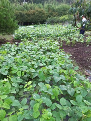 문순님의 🌧️7월 내 작물 자랑하기 · 참여글 작성글 사진