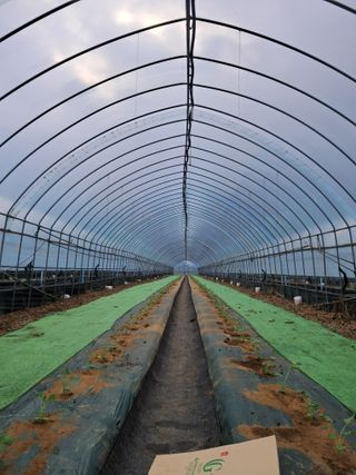 규수김님의 기타작물 · 영농일지 작성글 사진