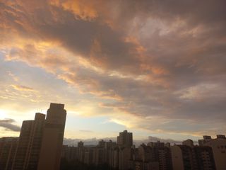 손종철님의 자유주제 · 자유게시판 작성글 사진