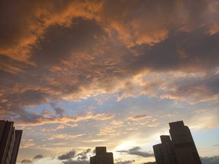 손종철님의 자유주제 · 자유게시판 작성글 사진