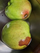 팜모닝 자유주제·자유게시판 게시글 이미지