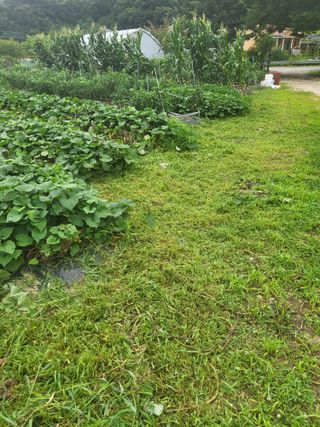 춘천연산골춘천닭갈비님의 자유주제 · 자유게시판 작성글 사진