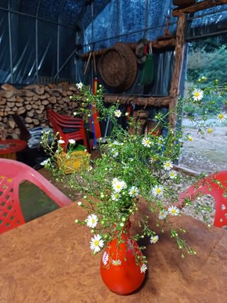 알 수 없음님의 자유주제 · 사진전 작성글 사진